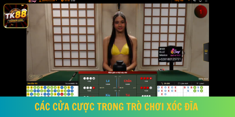 Xóc đĩa trực tuyến - Bộ môn casino lọt top xu hướng 
