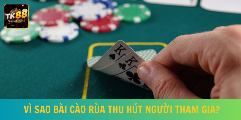 Điểm thu hút của bài cào rùa là gì?