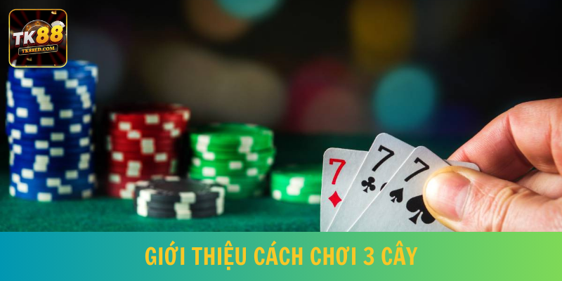 Cách chơi 3 cây thắng lớn được đông đảo thành viên quan tâm